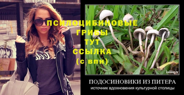 МДМА Богородицк