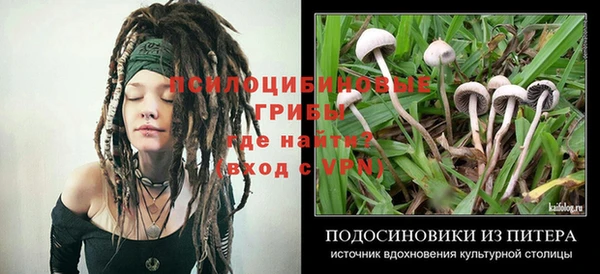 герыч Бугульма