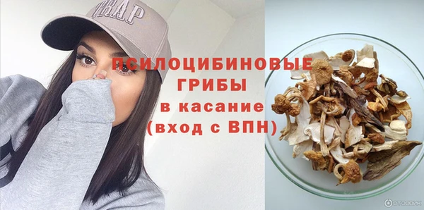 эйфоретик Бородино