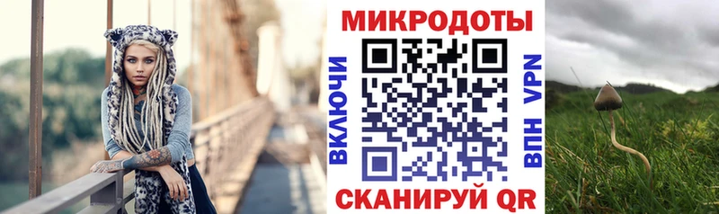 Галлюциногенные грибы Cubensis  Купить где  Старая Русса 